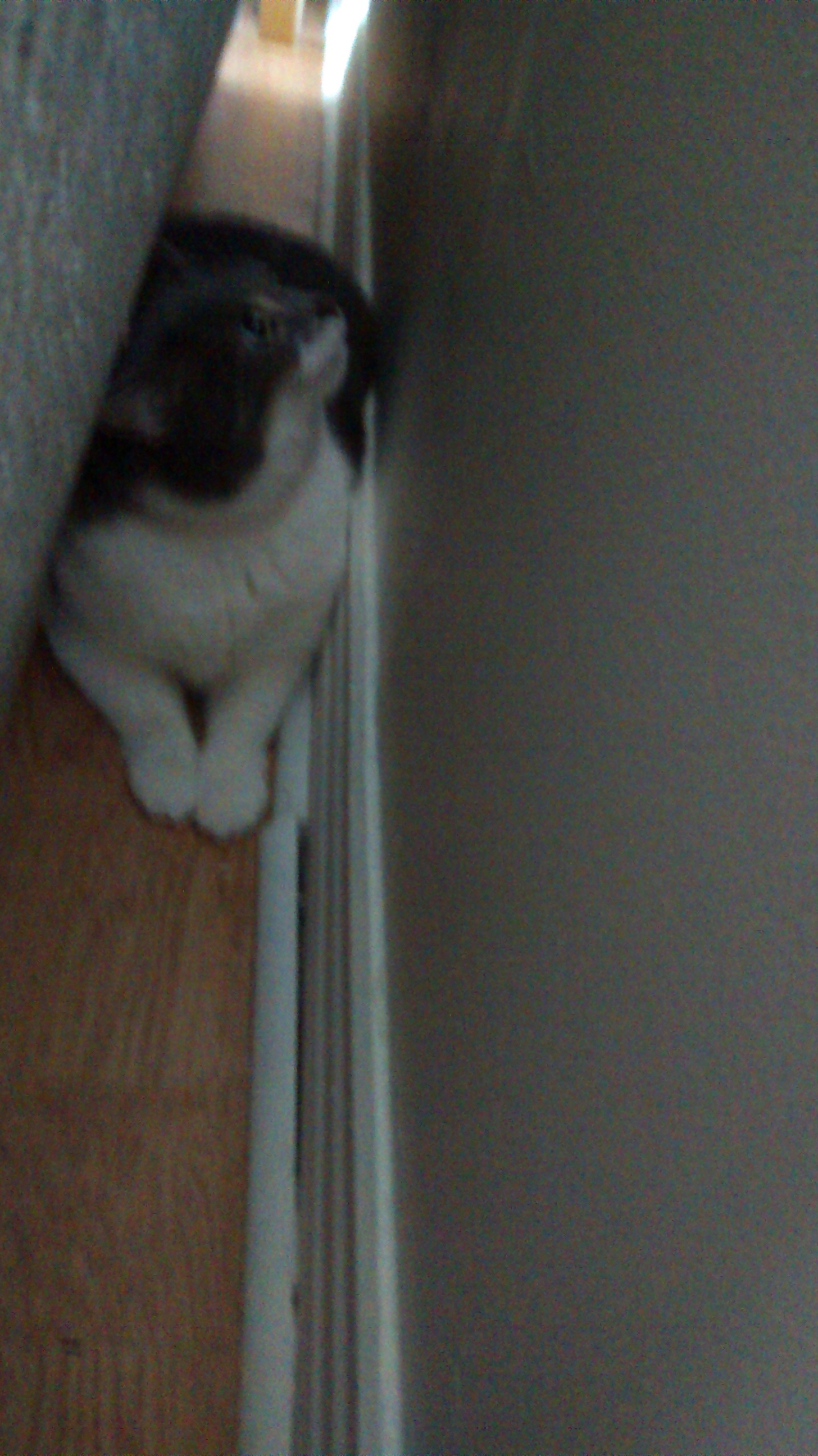 Suzie hiding behind a beige couch