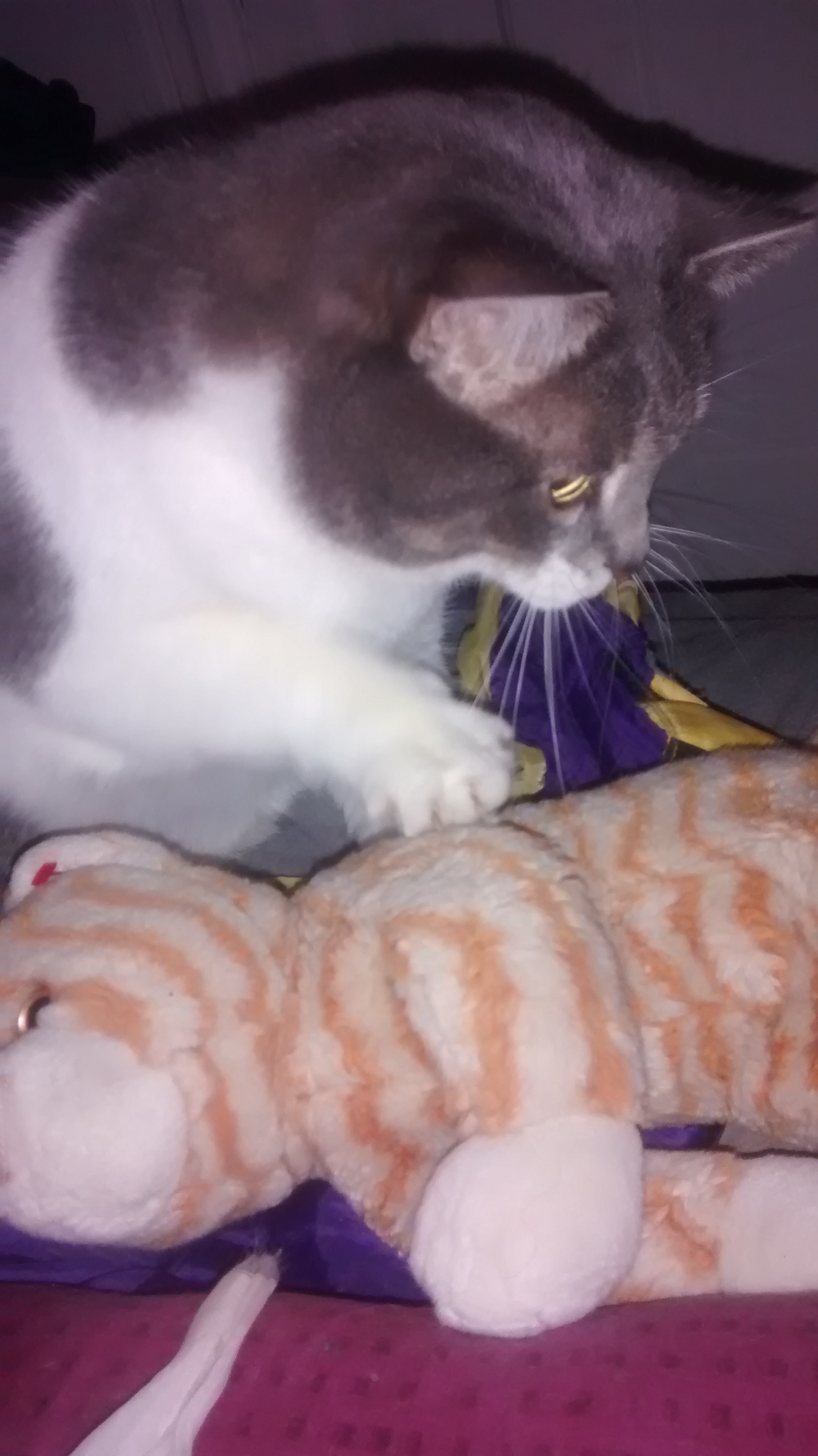 Getting to know the O.G.