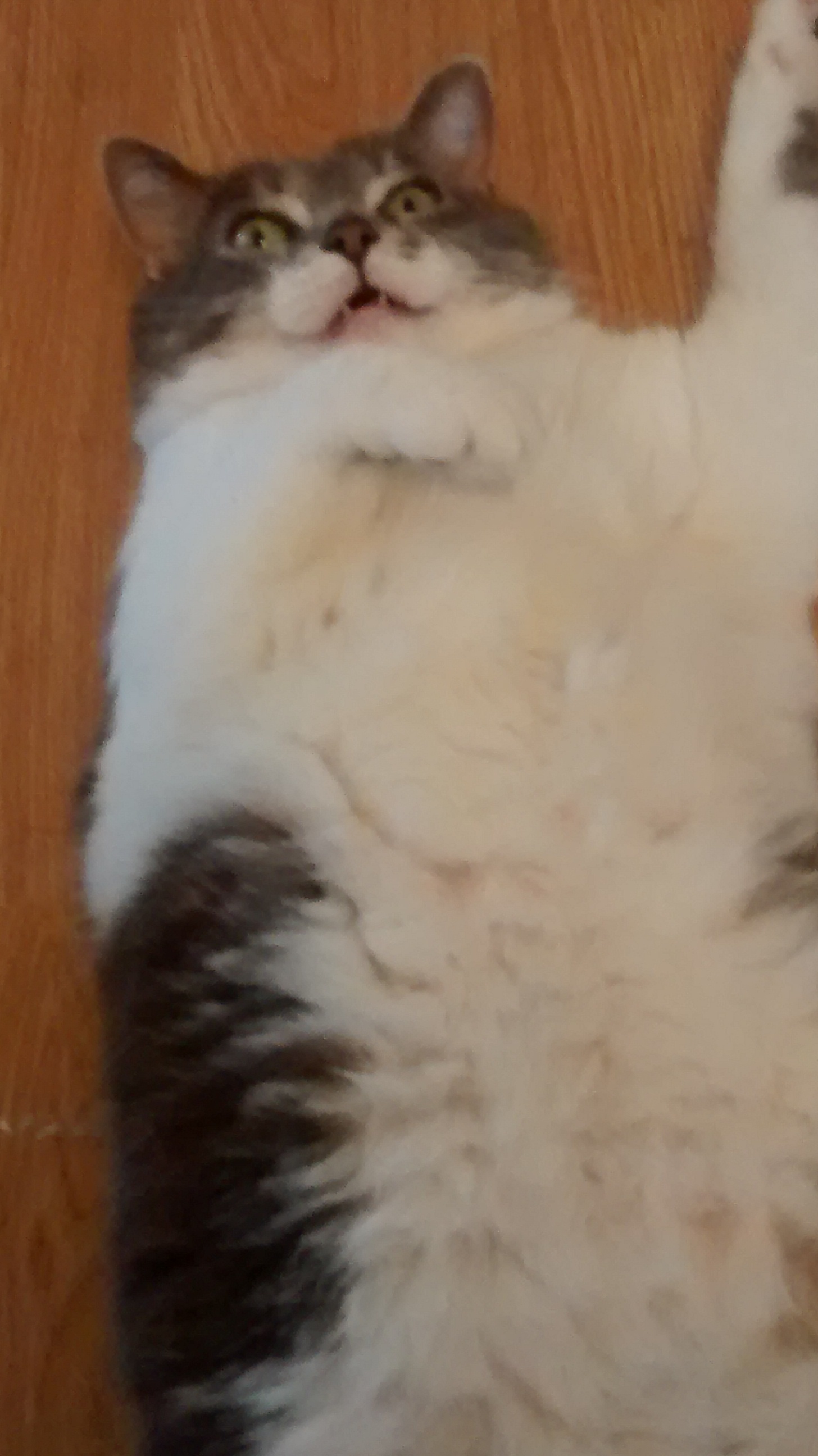 Uh oh, I can't get up?