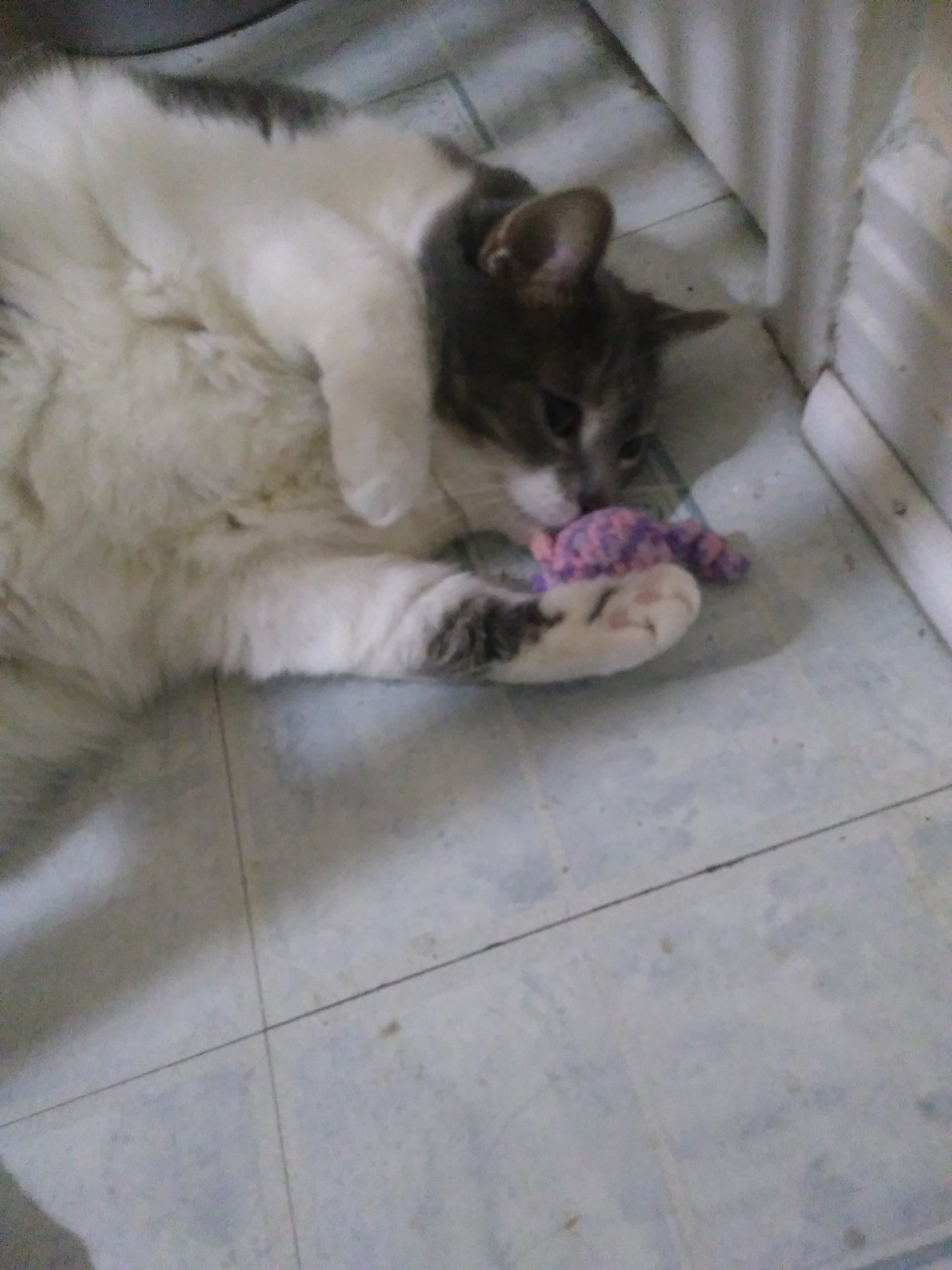 Thanks for all the mice