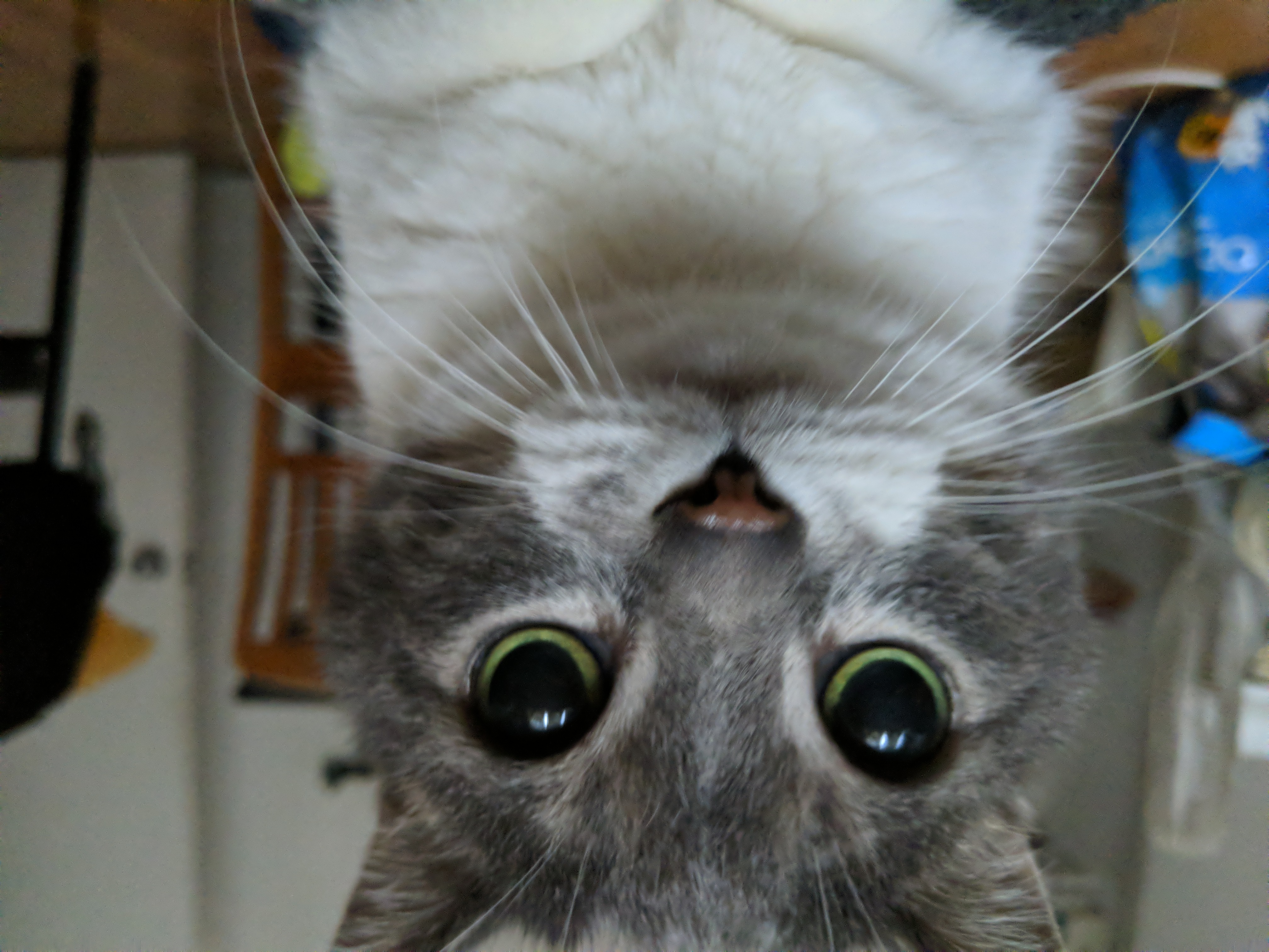 I'll sit on you when you're on the floor having a breakdown