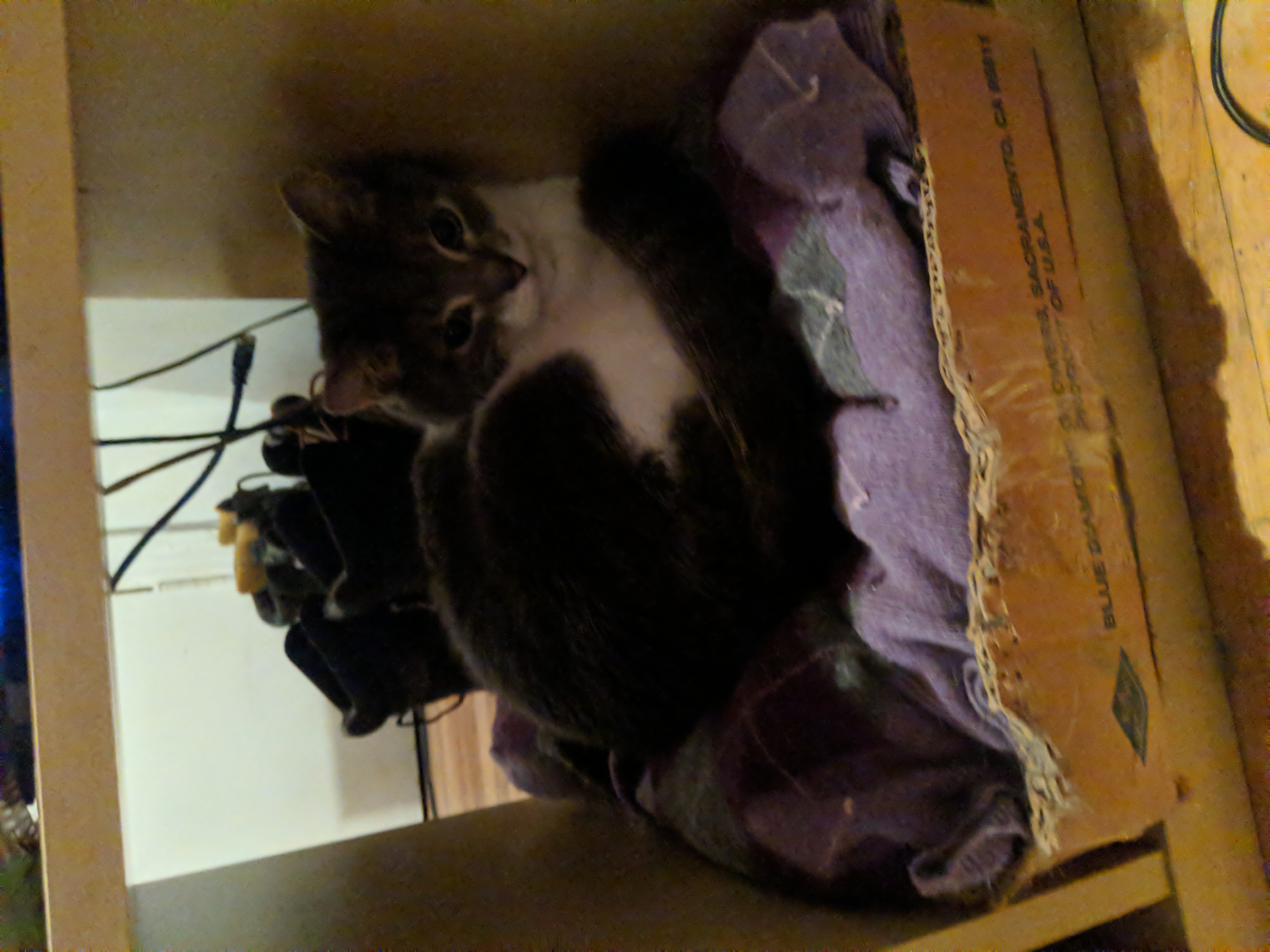 Thanks for the new bed