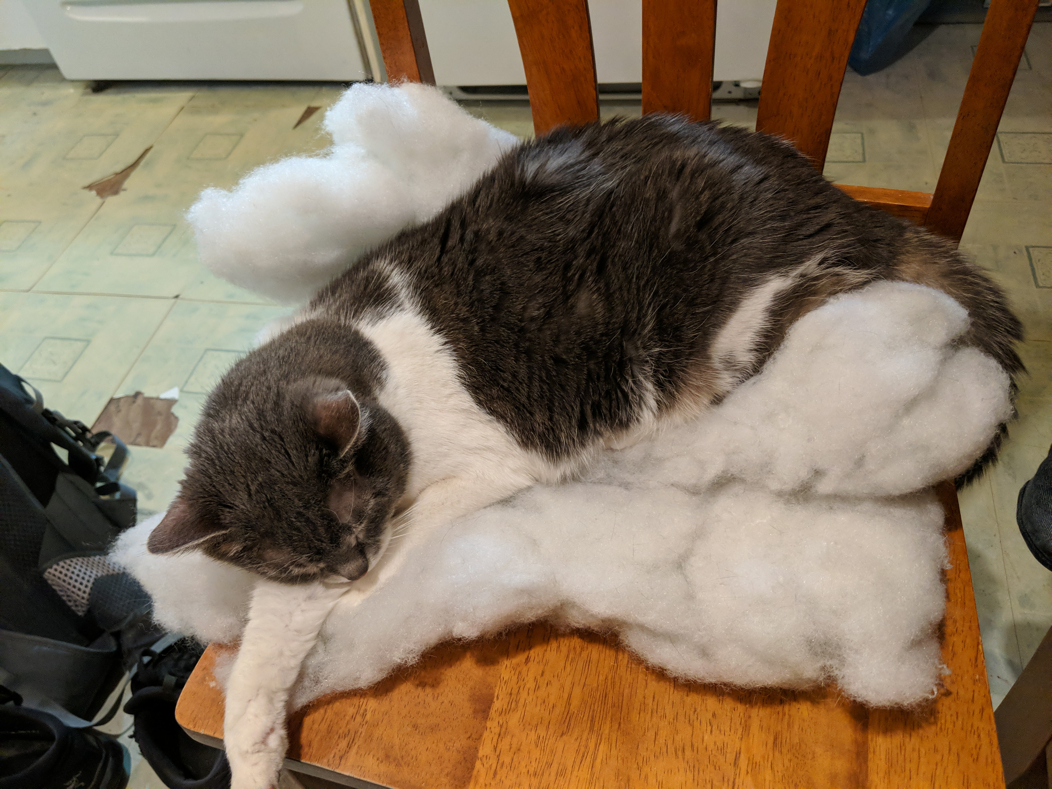 Never mind, I'll just use the stuffing instead