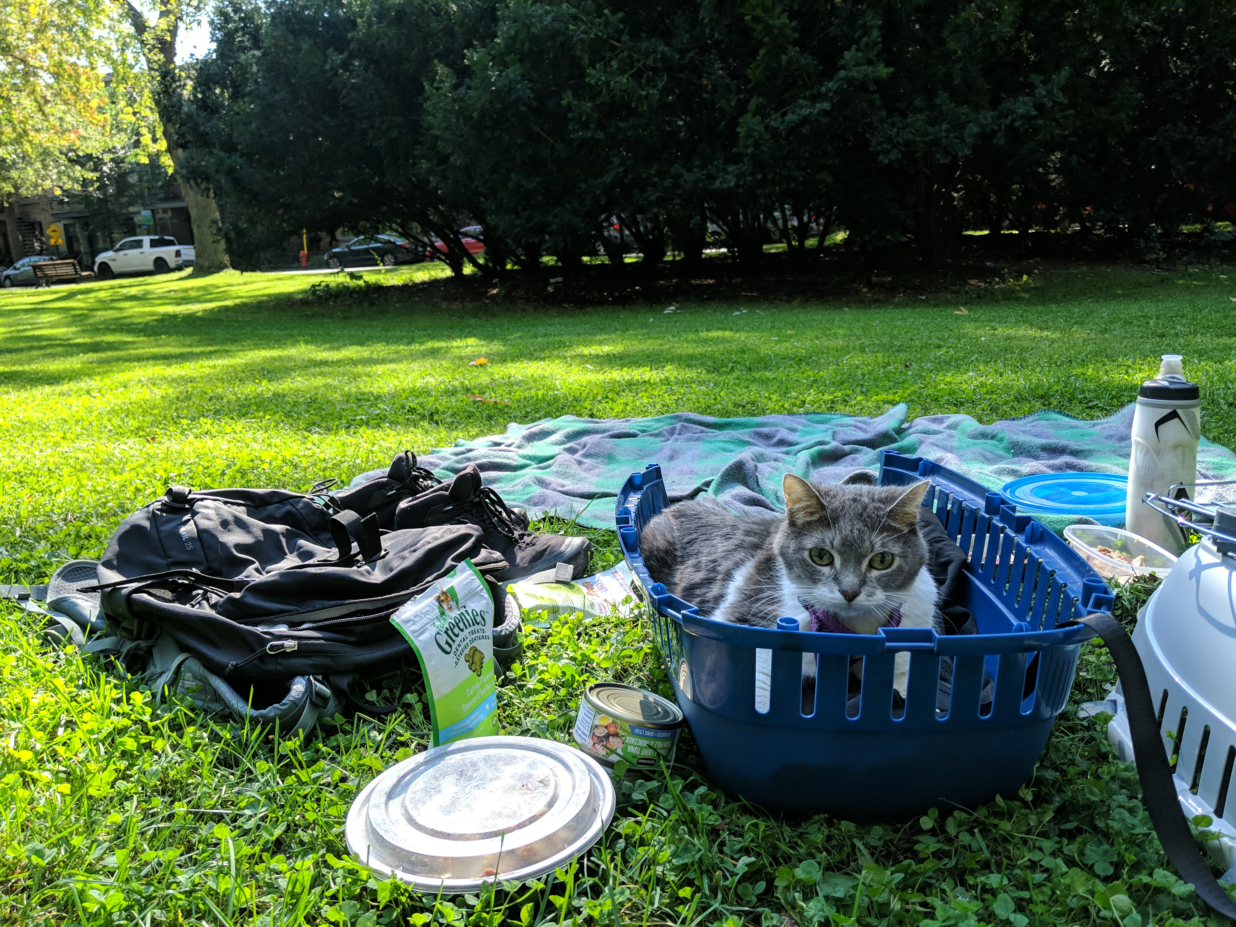 A last picnic
